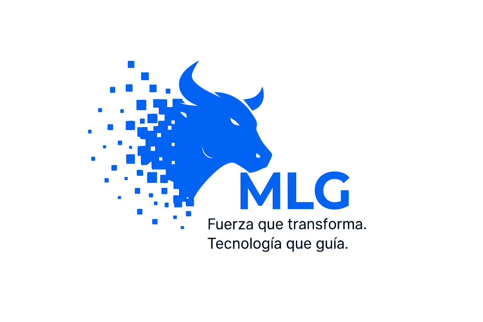 MLG Tech
